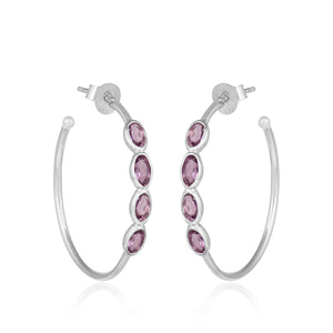 Aros Raisin